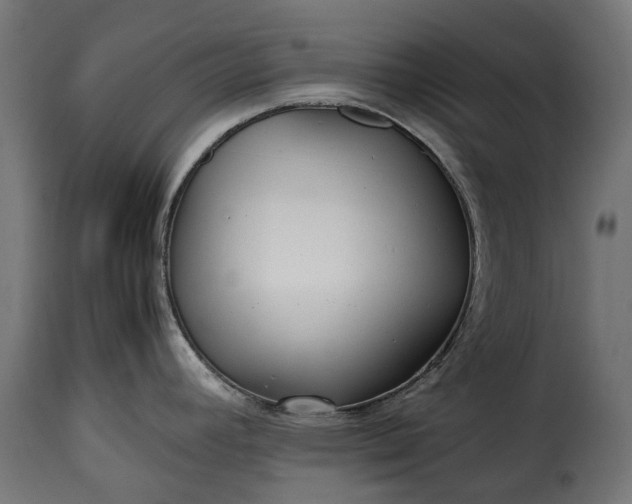 X0000115641392200911241700