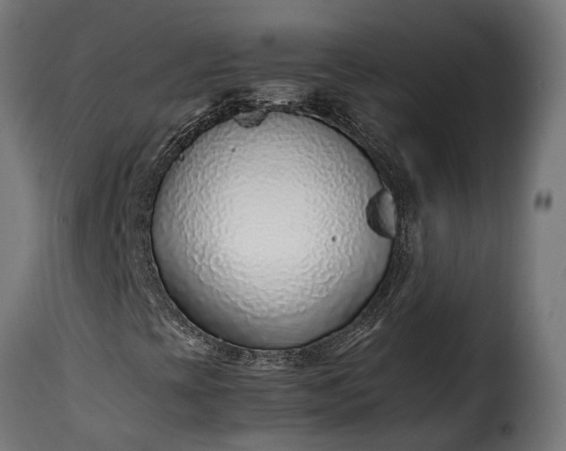 X0000115641393200911241659