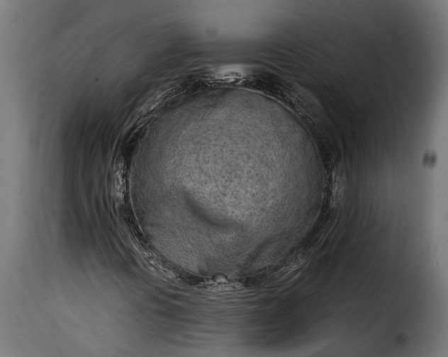 X0000115641394200911241659