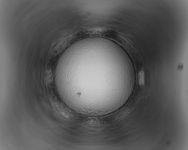 X0000115641395200911241659