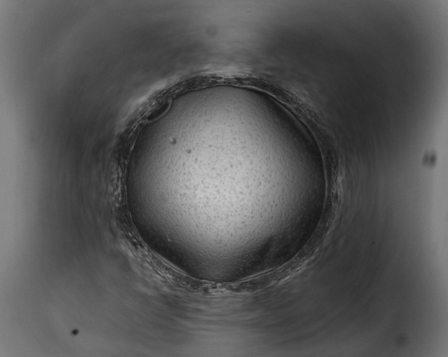 X0000115641398200911241700