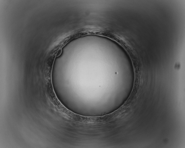 X0000115641399200911241700