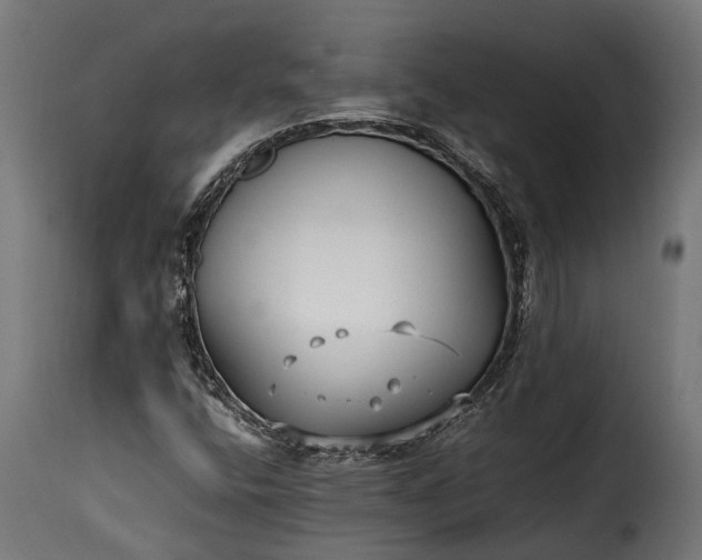 X0000115641400200911241700