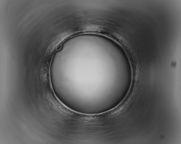 X0000115641401200911241700