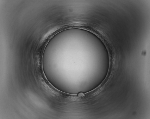 X0000115641402200911241700