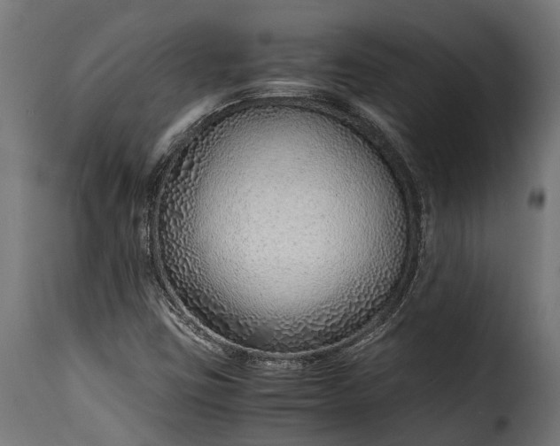 X0000115641403200911241700