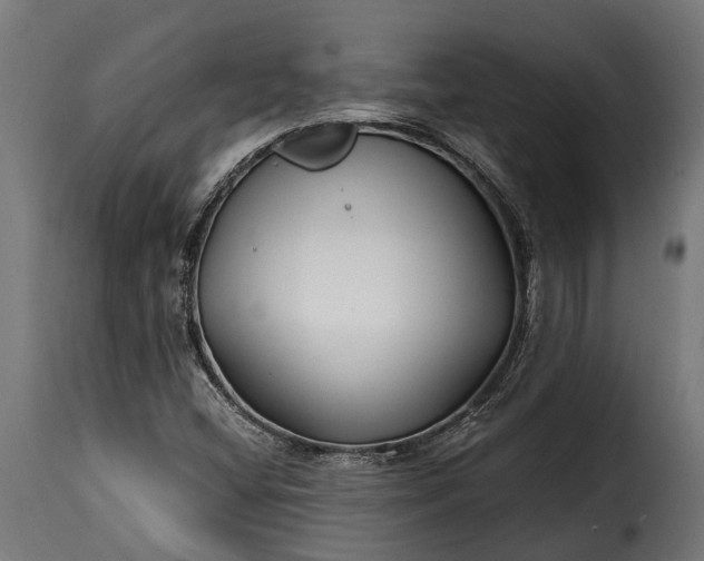 X0000115641404200911241700