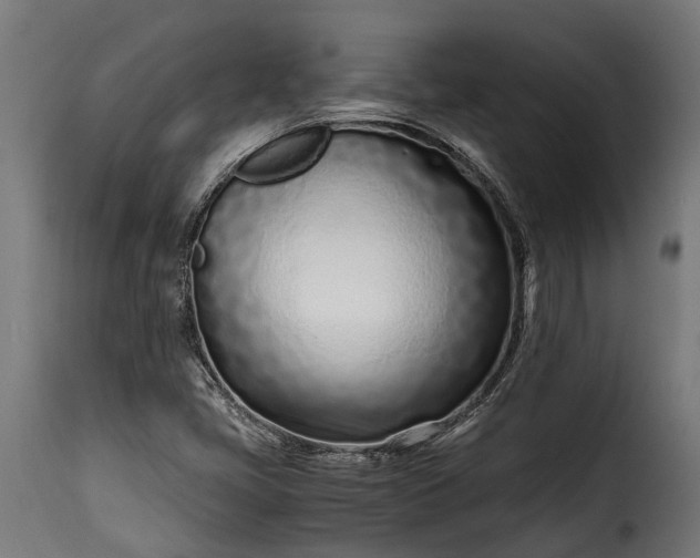 X0000115641405200911241700