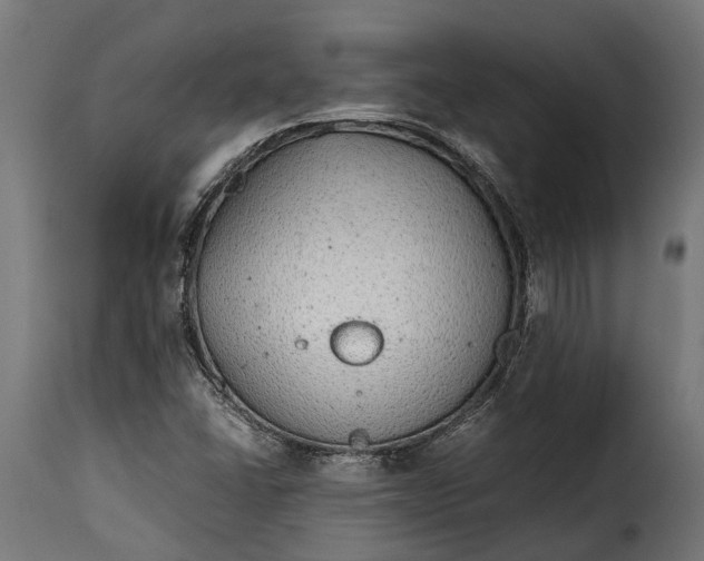 X0000115641406200911241700