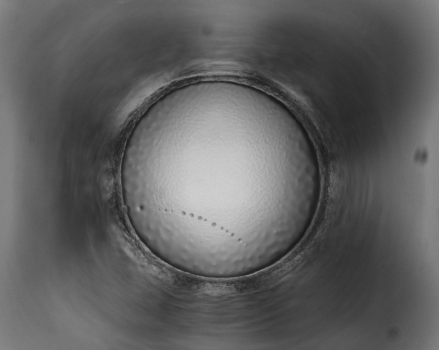 X0000115641407200911241700