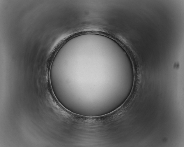 X0000115641408200911241700