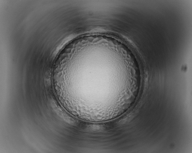 X0000115641409200911241700