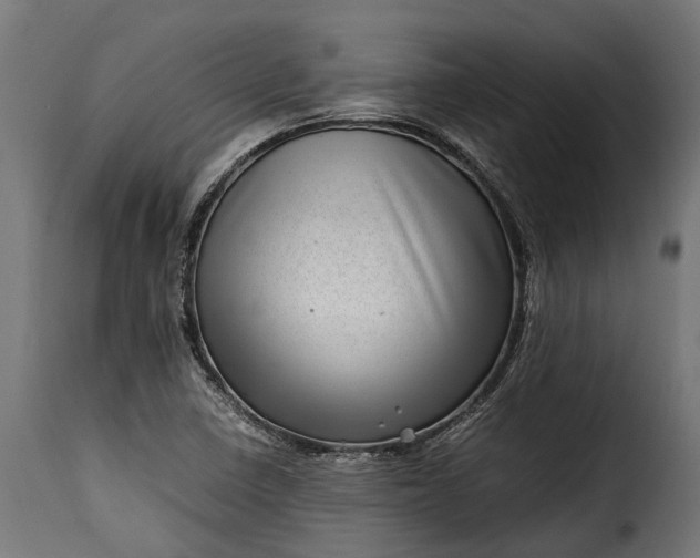 X0000115641410200911241700