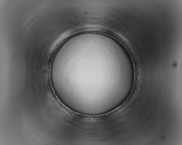 X0000115641411200911241700