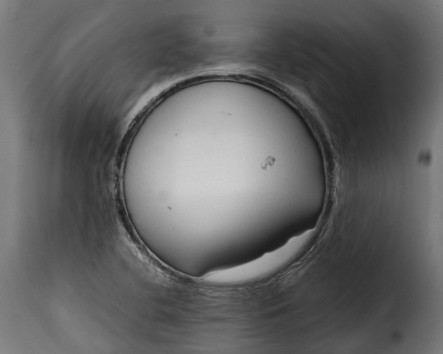 X0000115641412200911241700