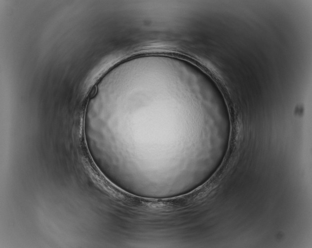 X0000115641413200911241700