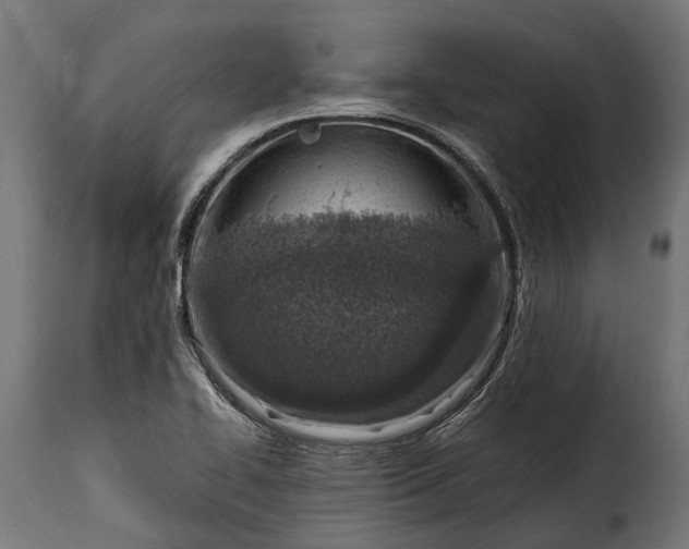 X0000115641414200911241700