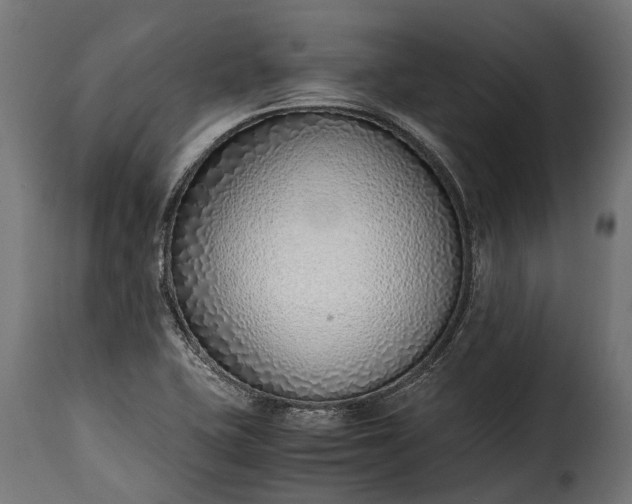 X0000115641415200911241700