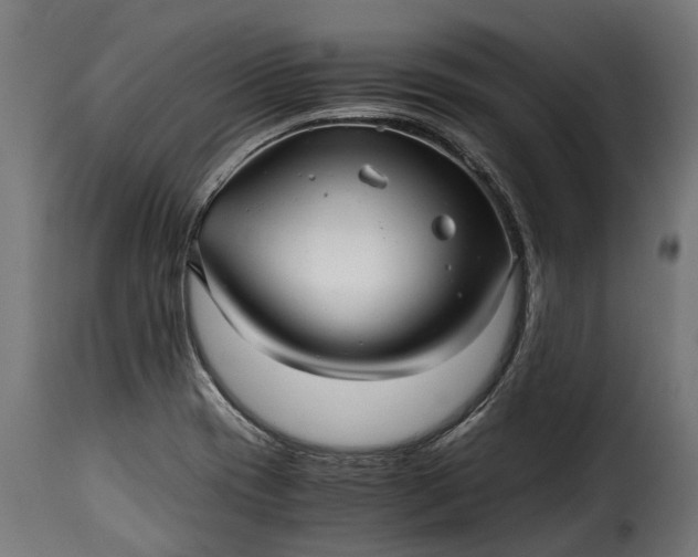 X0000115641417200911241700