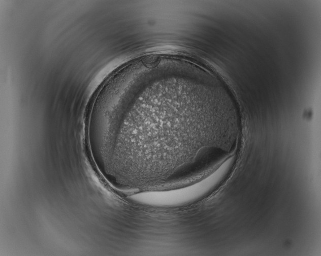 X0000115641418200911241700