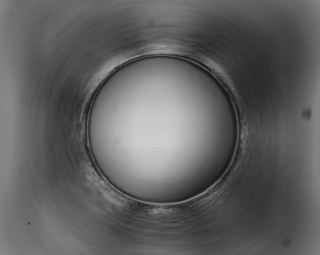 X0000115641419200911241700