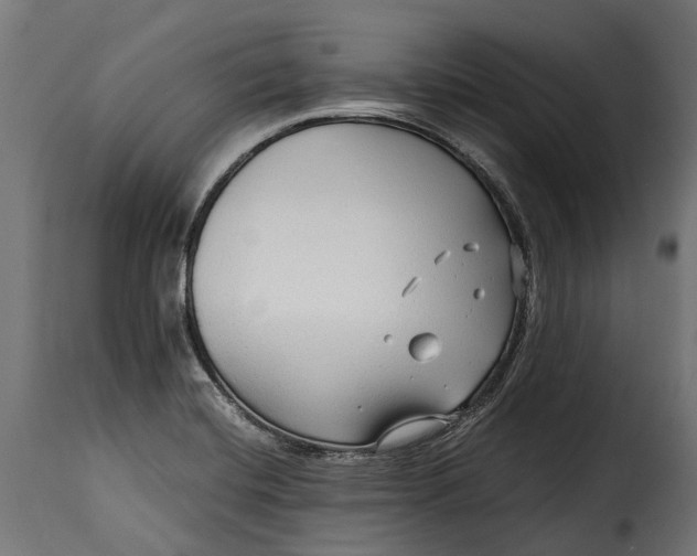 X0000115641420200911241700