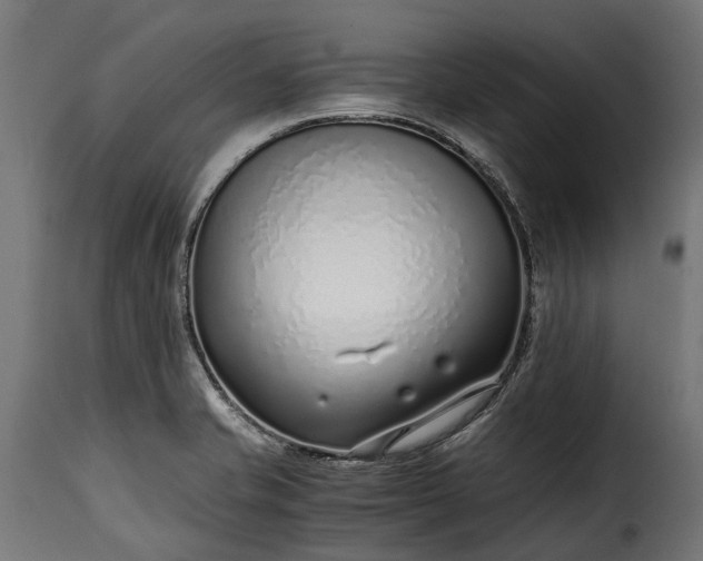 X0000115641421200911241700