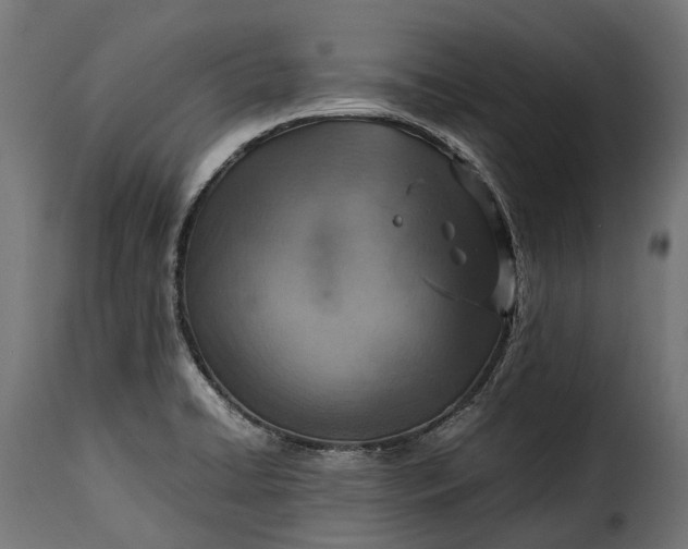 X0000115641422200911241700