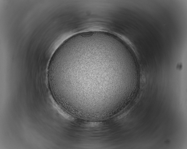 X0000115641423200911241700