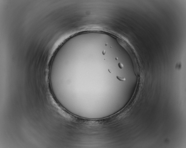 X0000115641424200911241700