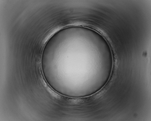 X0000115641425200911241700