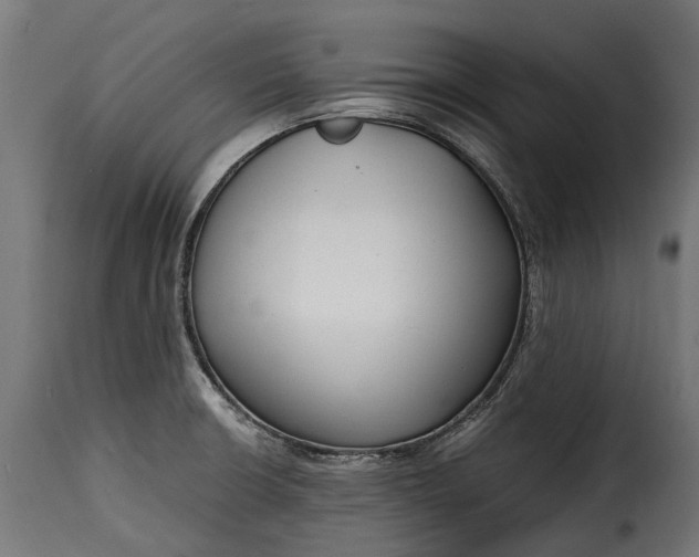 X0000115641426200911241700