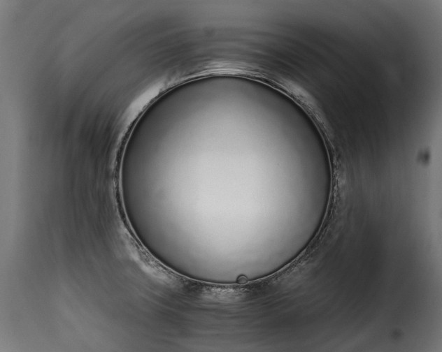 X0000115641427200911241700