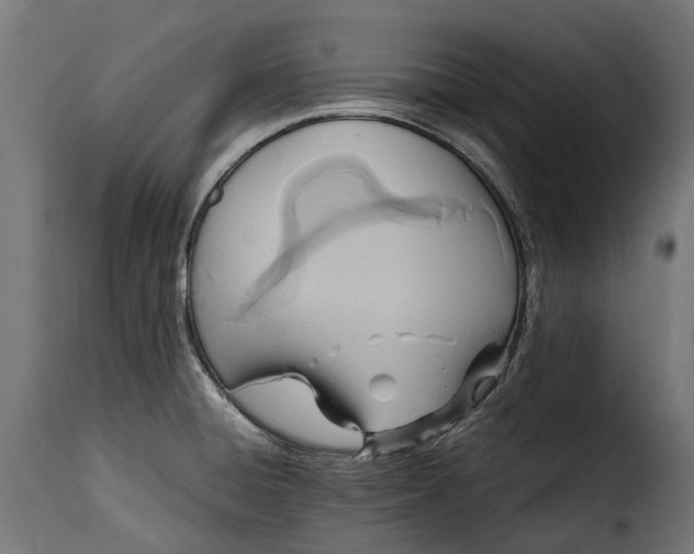 X0000115641428200911241700