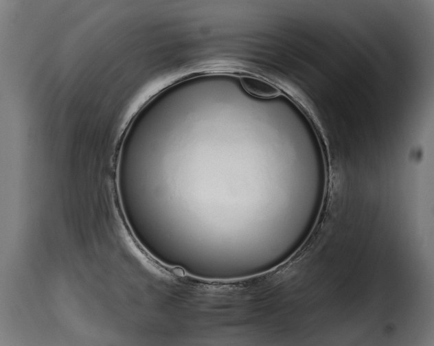 X0000115641429200911241700