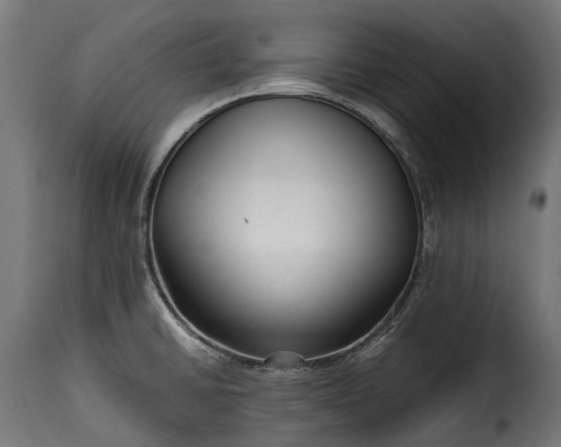 X0000115641430200911241700