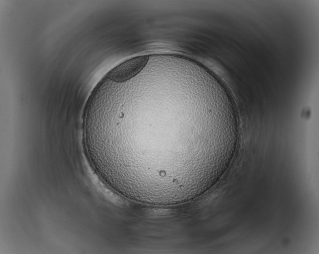 X0000115641431200911241700