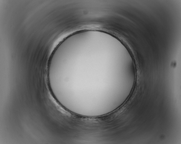 X0000115641432200911241700