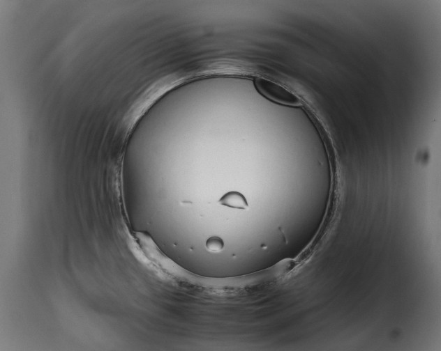 X0000115641433200911241700