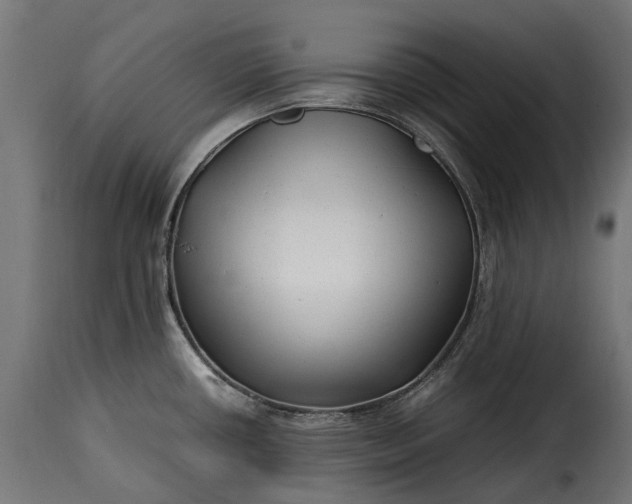 X0000115641434200911241700