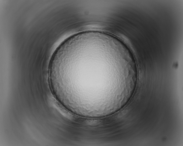 X0000115641435200911241700