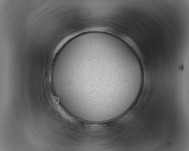 X0000115641436200911241700