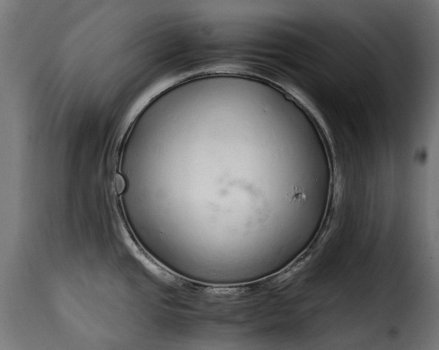 X0000115641437200911241700