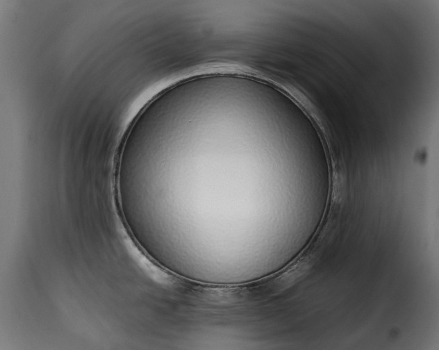 X0000115641438200911241700