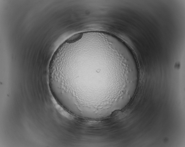 X0000115641439200911241700