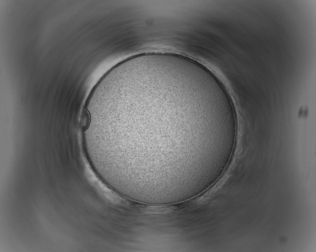 X0000115641440200911241700