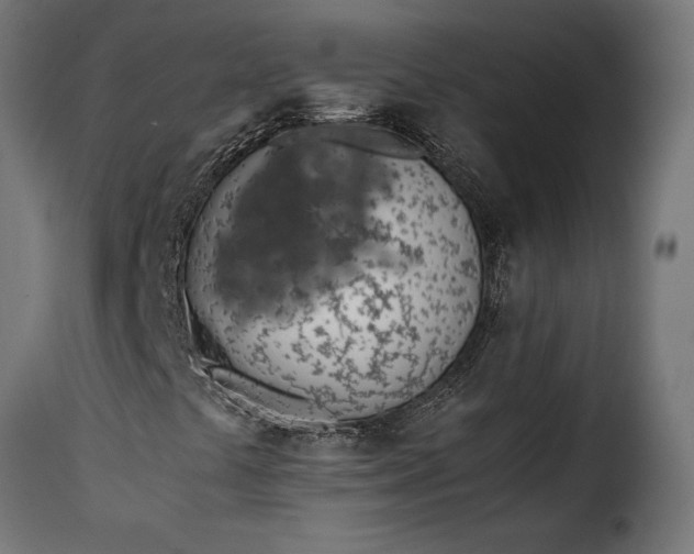 X0000115641441200911241659