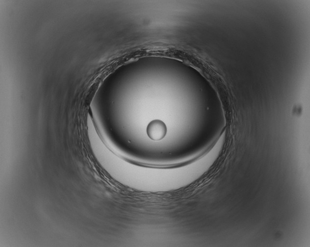 X0000115641445200911241659