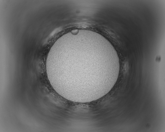 X0000115641446200911241659