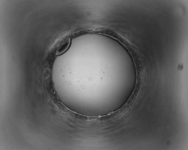 X0000115641447200911241659